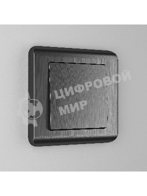 Клавиша для выключателя перекрестного WERKEL (графит рифленый) W1119004