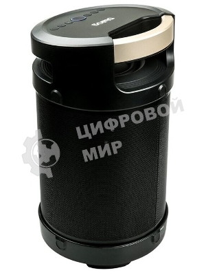 Портативная аудиосистема DIALOG AP-1030