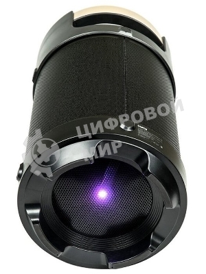 Портативная аудиосистема DIALOG AP-1030