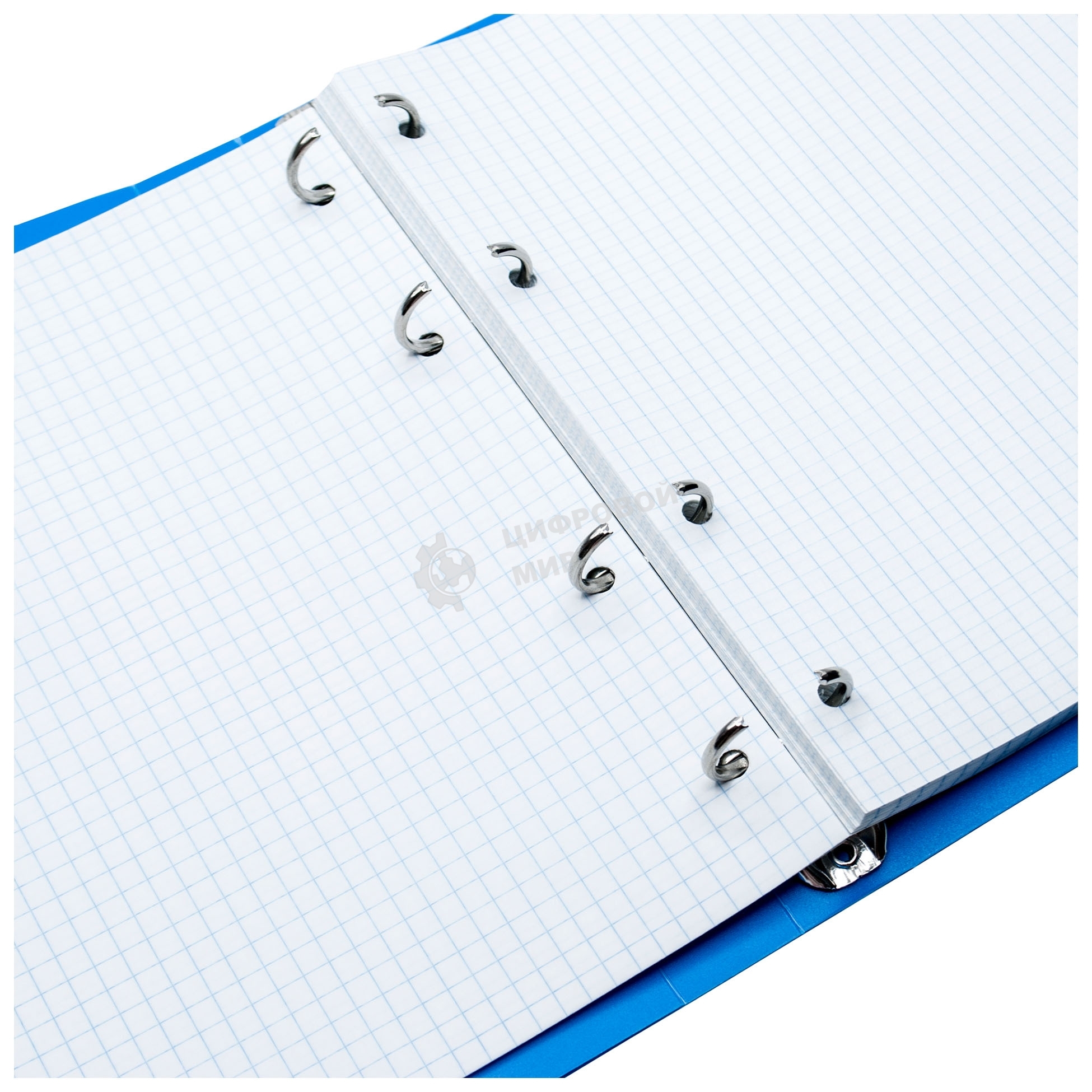 Тетрадь на кольцах Silwerhof 1848212 80 листов, клетка, A5, пластик кольца голубой