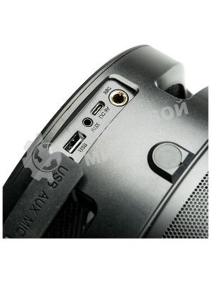 Портативная аудиосистема DIALOG AP-1030