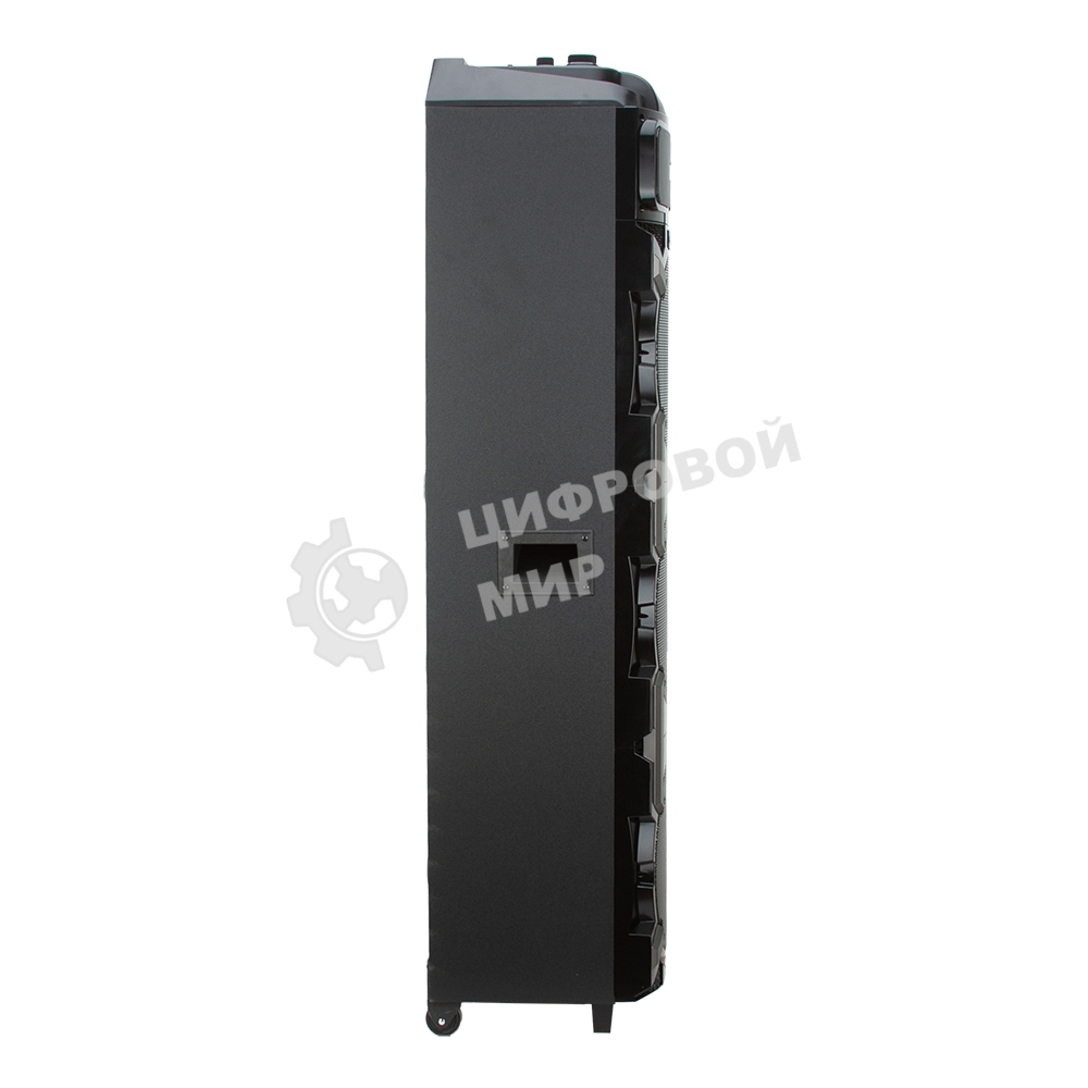 Колонка ELTRONIC 10