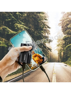 Внешний SSD ADATA SD810, 1TB, USB 3.2 Gen 2x2 Type-C, R/W 2000/2000, черный