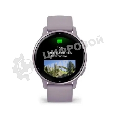 Умные часы Garmin Vivoactive 5 42мм сиреневый