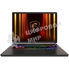 Ноутбук без сумки MSI Vector 17 HX A2XWJG Ultra9 275HX 17