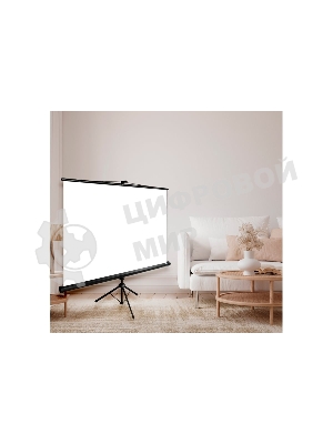 Экран для проектора Cactus CS-PST-180x180, 100 