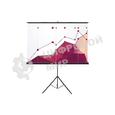 Экран для проектора Cactus CS-PST-180x180, 100 