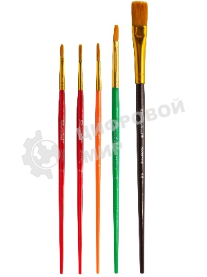 Набор кистей Silwerhof Color, синтетика (набор 5шт) синтетика круглая №3/плоская №2,6,14/овальная №1