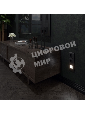 Встраиваемая LED подсветка WERKEL (черный) W1154308