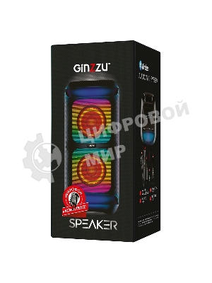 Портативная колонка GINZZU GM-113