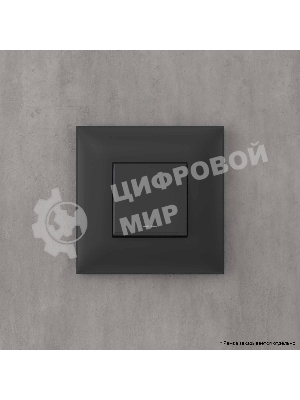 Инвертор одноклавишный DKC Avanti 4412123 