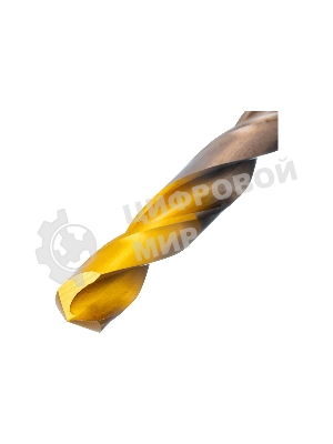 Набор сверл по металлу Denzel 1-10 мм, Р6М5К8-TiN, Golden Tip, 19 шт