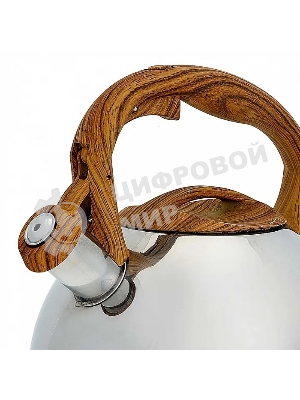 Чайник для плиты ALPENKOK AK-517 3,0 л