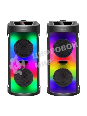 Акустическая система Midi GM-231 TWS/BT/USB/TF/FM/ДУ черный