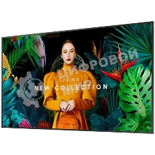 Панель Samsung QM50C черный VA LED, 55