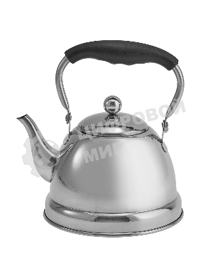 Чайник для плиты ALPENKOK AK-542 1 л