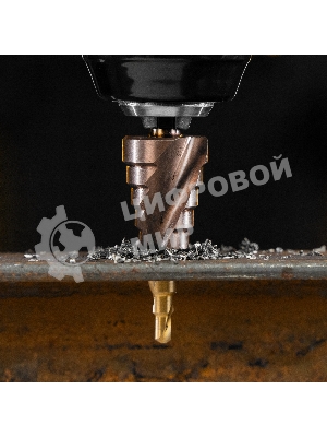 Сверло ступенчатое Denzel 4-6-8-10-12-14-16-18-20 мм, Р6М5К5, 6-гр. хвостовик 723613