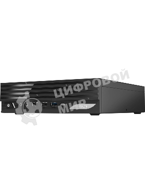 Мини ПК MSI Pro DP21 14M-1087XRU i3 14100 (3.5) 16Gb SSD 512Gb UHDG 730 без ОС GbitEth WiFi BT 120W черный (9S6-B0A431-1087)