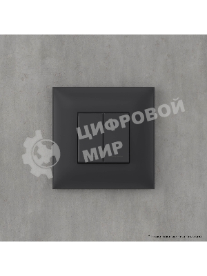 Кнопка двухклавишная DKC Avanti 4412154 