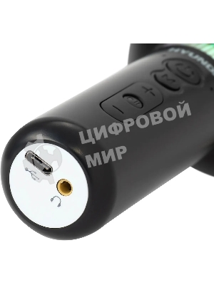 Микрофон беспроводной Hyundai H-MIC101 черный