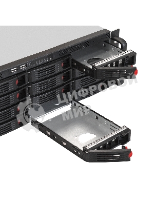 Серверная платформа ExeGate EX292421RUS Pro 3U660-HS16 (RM 19