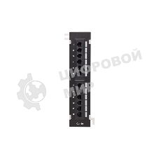 Патч-панель настенная TERACOM PRO Cat.5E неэкранированная UTP 12 портов RJ-45 Dual IDC