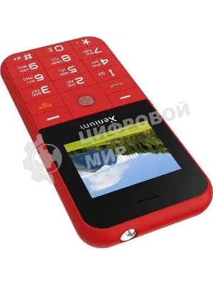 Мобильный телефон Xenium X718 красный