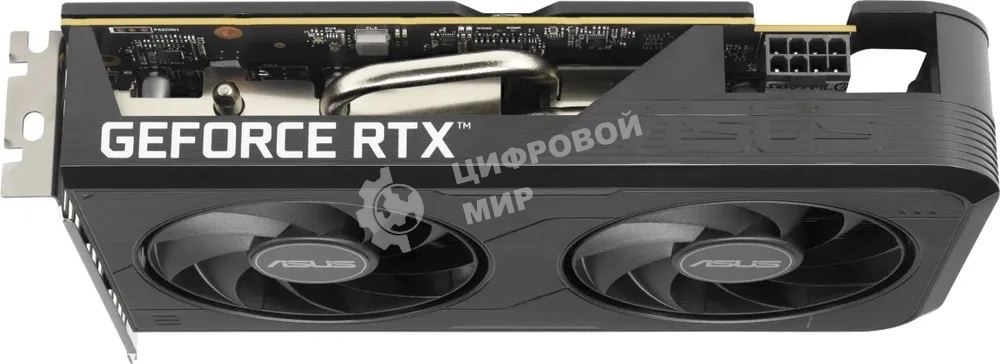 Видеокарта ASUS GeForce RTX 5050 8G OC, NVIDIA RTX 5050, 8 ГБ GDDR6, 128 бит, PCI-e 5.0, 1xHDMI, 3xDP, 2677 МГц
