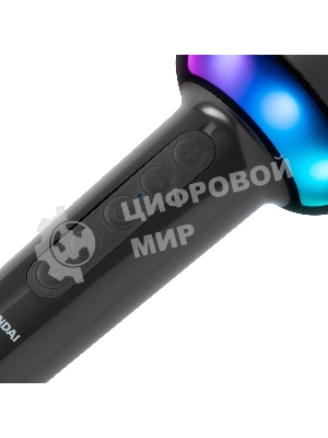 Микрофон беспроводной Hyundai H-MIC100 черный