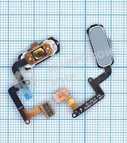 Кнопка HOME в сборе с механизмом и шлейфом для Samsung A320, синяя