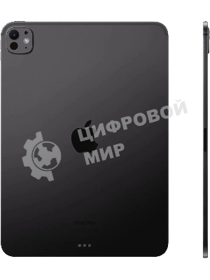 Планшет Apple iPad Pro 2024 A2836 11