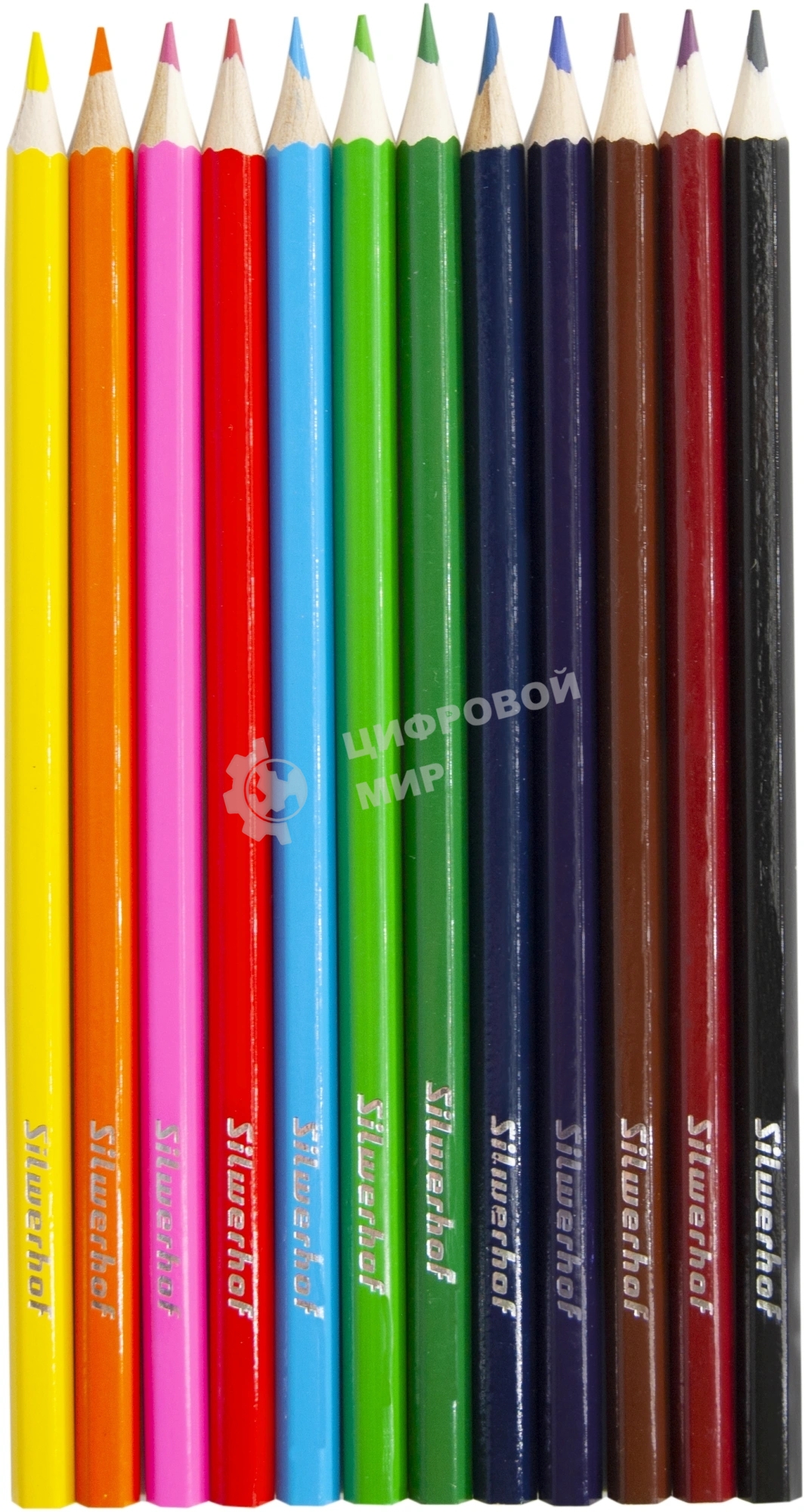 Карандаши цветные Silwerhof Eco 2.65 мм, шестигранный профиль, дерево, ассорти, 12 цветов, коробка с европодвесом