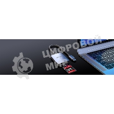 Кард-ридер Netac Flash WK12/серый/SD/SDHC/SDXC/microSD/microSDHC/microSDXC/USB 3.0 Type-C/пластик