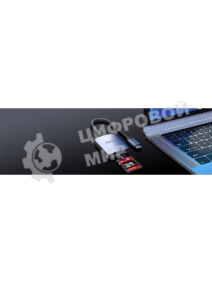 Кард-ридер Netac Flash WK12/серый/SD/SDHC/SDXC/microSD/microSDHC/microSDXC/USB 3.0 Type-C/пластик