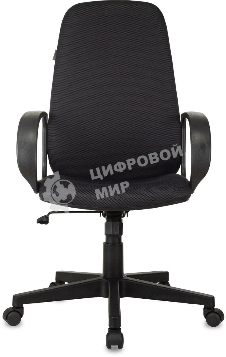 Кресло руководителя Бюрократ CH-808AXSN/TW-12 серый TW-12