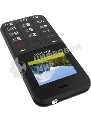 Мобильный телефон Xenium X718 черный