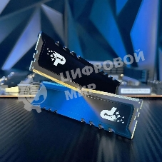 Оперативная память Patriot Signature Premium, DDR5, 32Gb (2x16 Gb), 5600 MHz, CL46, DIMM, радиатор, черный