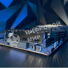 Оперативная память Patriot Signature Premium, DDR5, 32Gb (2x16 Gb), 5600 MHz, CL46, DIMM, радиатор, черный