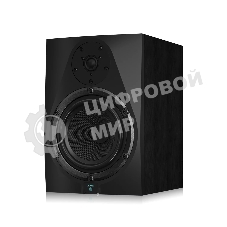 Акустическая система (студийный монитор) 110302A1002 Icon DT-8S активный, 2-х полосный, 1