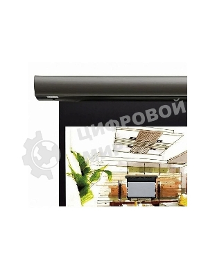 Экран с электроприводом Lumien Cinema Control 241x400 см (раб.область 220х390 см) Matte White черная кайма по периметру, серый корпус, 16:9