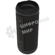 Портативная колонка RITMIX SP-320B черный