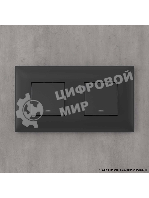 Рамка DKC Avanti 4412904 2 поста (4 мод.) 