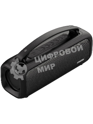 Колонка портативная Hyundai H-PS1020 черный 16W 2.0 BT 10м 1500mAh