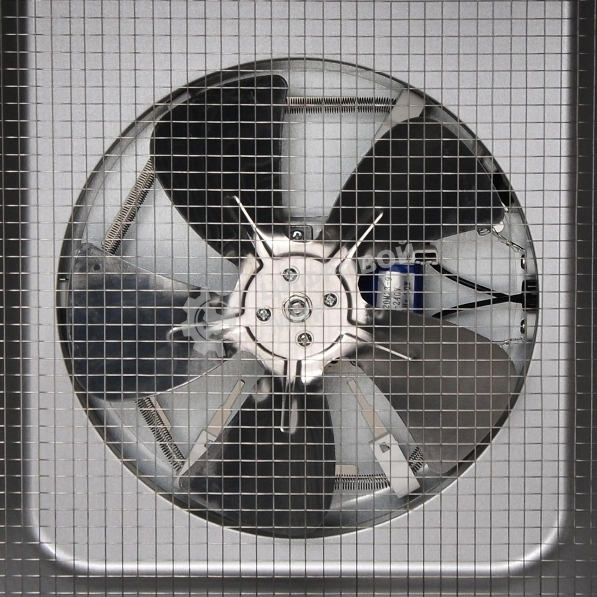 Сушка для фруктов и овощей Hyundai HYFD-P1801 18под. 700 Вт, черный