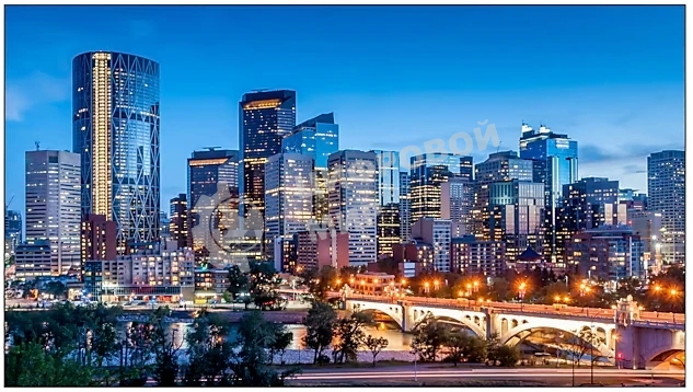 Панель Samsung VM55B-E черный IPS, 55