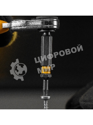 Набор бит Denzel TORX 10х50, сталь S2, шестигранный профиль, 10 шт.