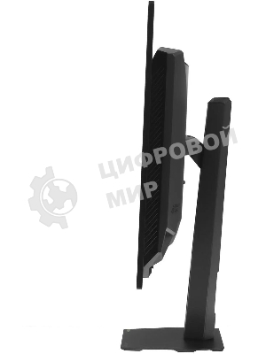 Монитор 31.5