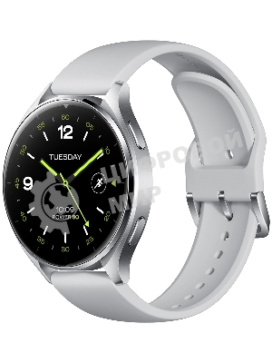 Умные часы Xiaomi Watch 2 Silver Case With Gray TPU Strap M2320W1