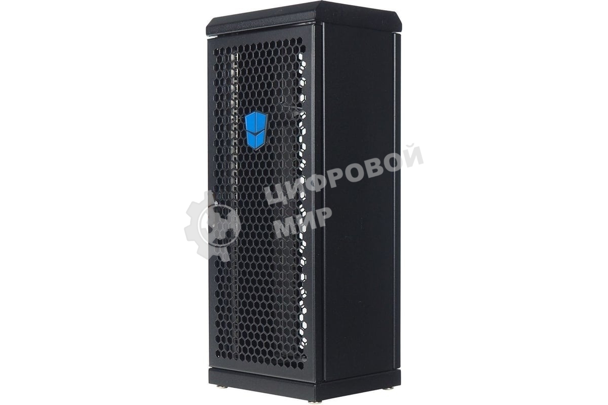 Шкаф сувенирный ЦМО ШТК-СП-С-8.1.1-9005, серверный