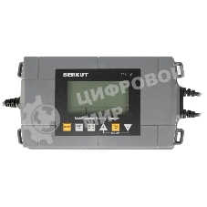 Зарядное устройство Berkut BCA-10